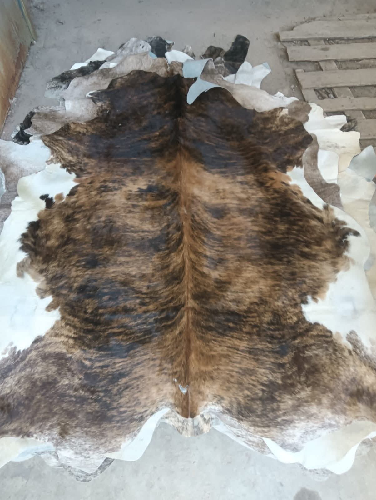 Piel en pelo de res café